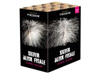 Silver Blink Finale
