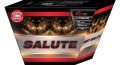 Salute (Fan)