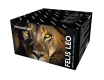Felis Leo