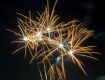 Golden Willow (Fan)