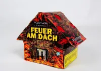 Feuer am Dach