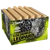 Coloured Leopard