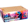 Condor Junkie