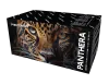 Panthera