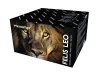Felis Leo