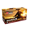 Shaolin 6