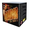 Condor