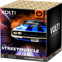 Streetmuscle