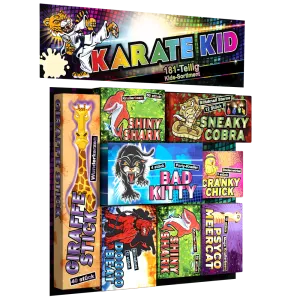 Karate Kid